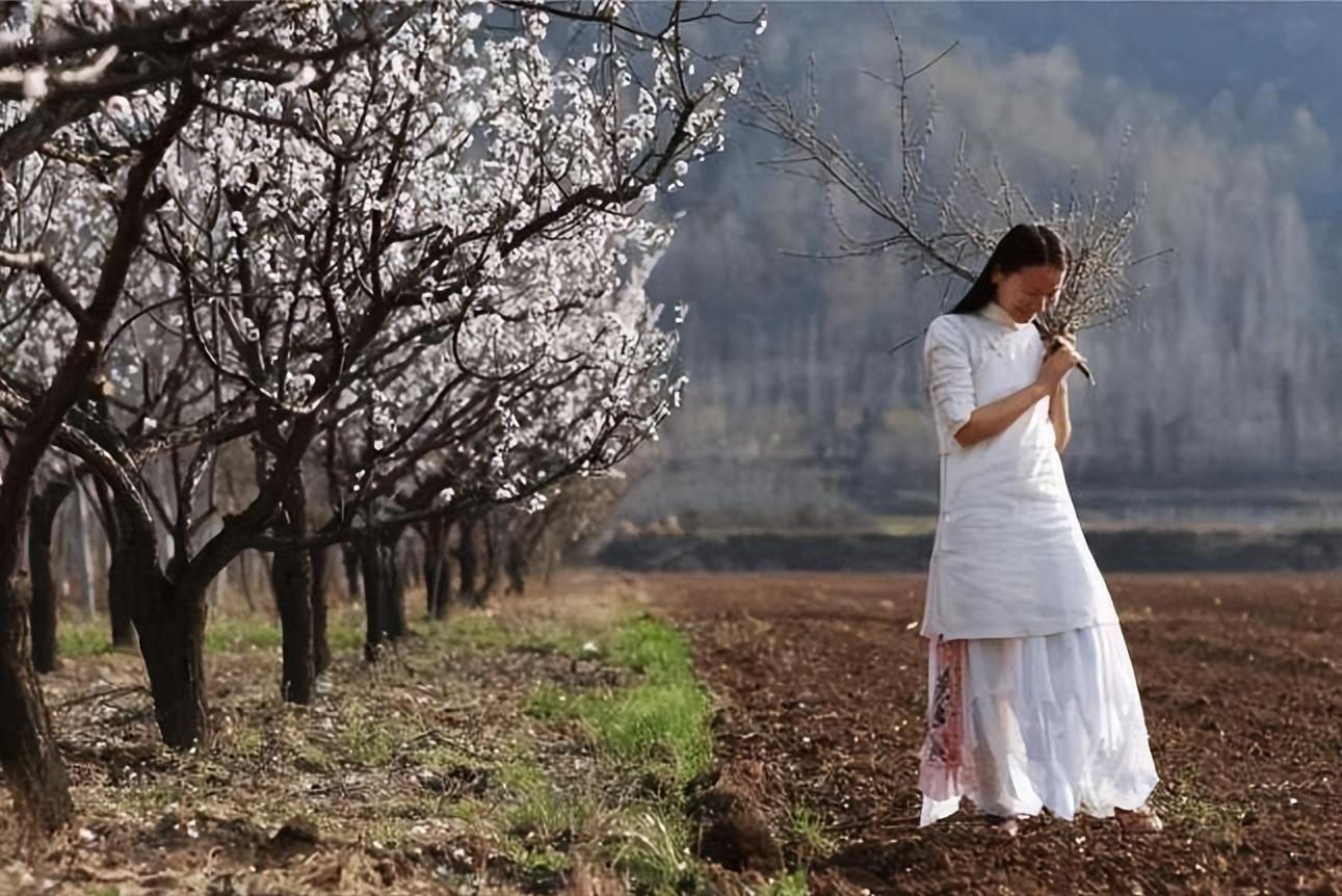 终南山隐居真实事件,真实记录终南山隐居
