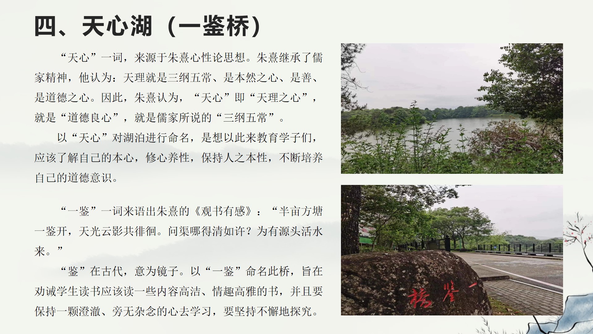 武夷学院野餐,武夷学院校园游览视频