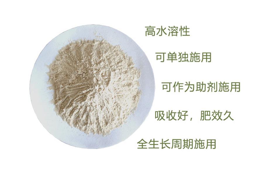 褐藻寡糖是什么意思,褐藻寡糖对水产的作用