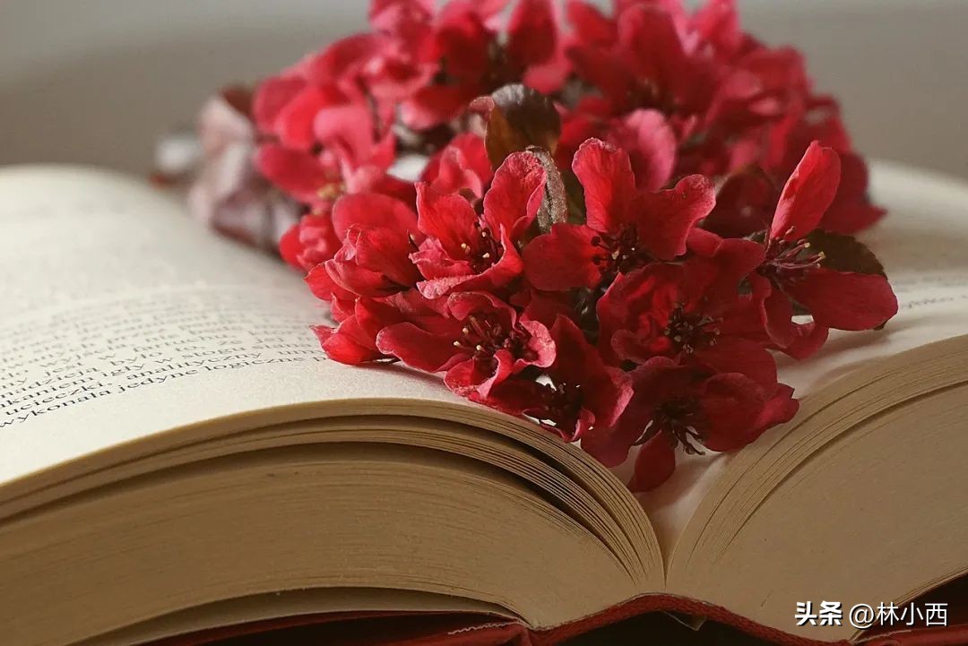 一本值得你读三遍的好书,推荐一下经典的好书