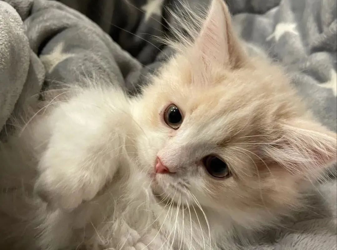 帮助自己保持心理健康的方法,能够帮你恢复能量的8件小事