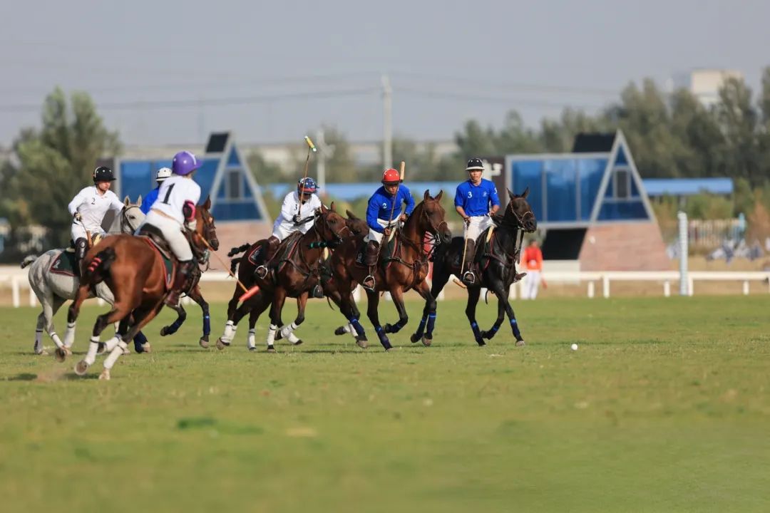2023年包头马球公开赛,2023包头马术系列赛事