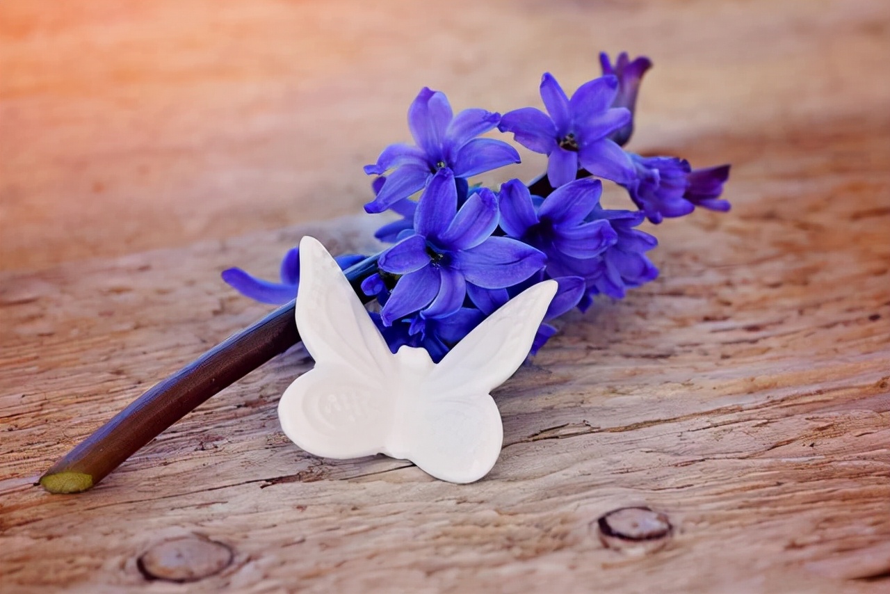 妻子背叛自己的婚姻该怎么办,婚姻中怀疑对方要不要找证据