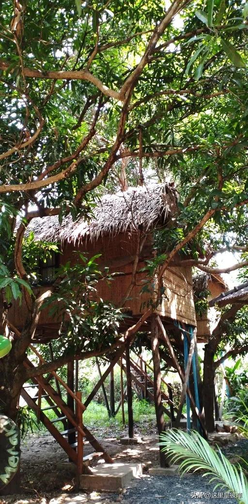 住过的最印象深刻的青旅,贡布旅游攻略大全