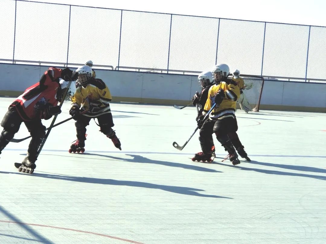 灏戞灄楣呭潯姝︽牎濂楄矾,灏戞灄楣呭潯姝︽湳瀵圭粌