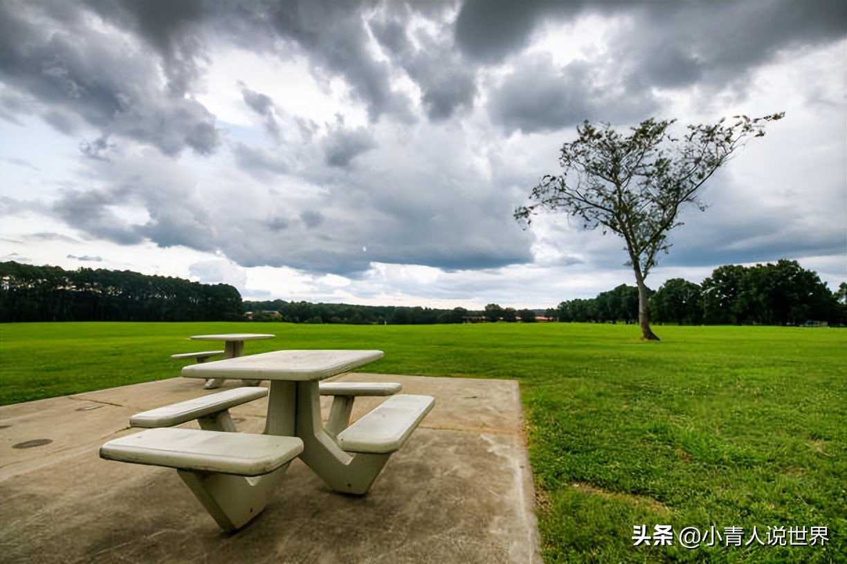 罗利市非常重视教育培养了很多工程师，罗利是个怎样的地方