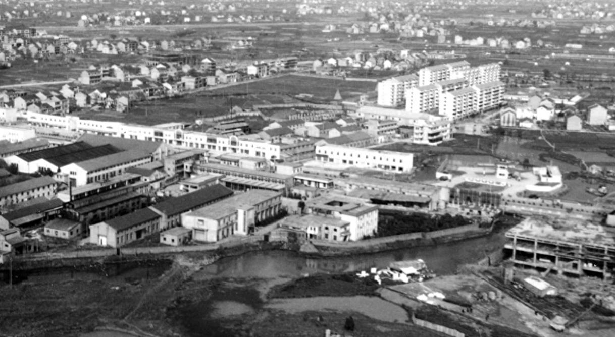 60岁大妈爱上50岁保镖,60岁大妈爱上保镖