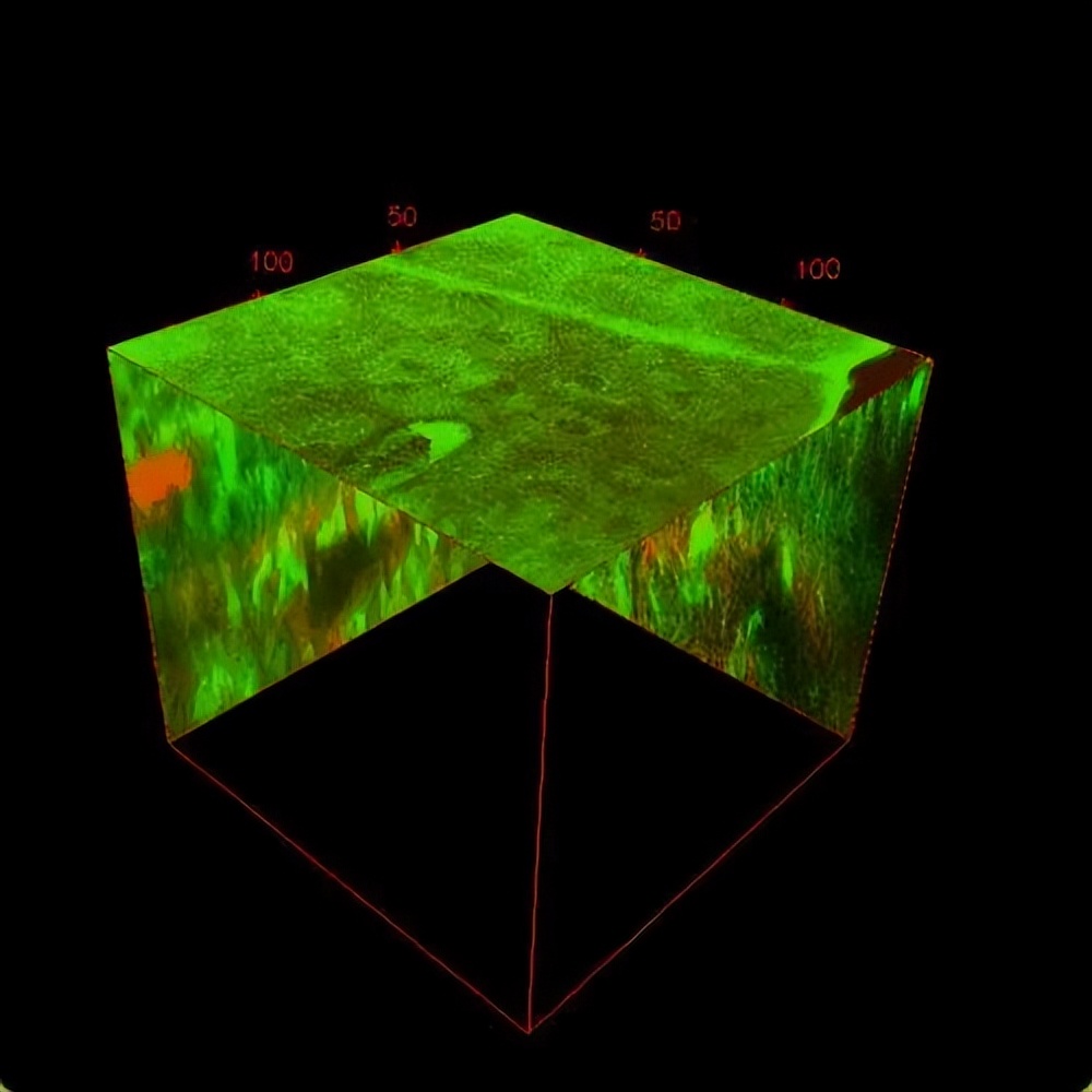 当时“全世界都不看好”,如今他们实现了多个首次!