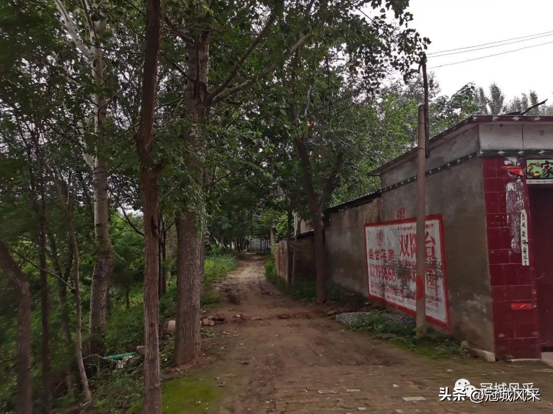 贾镇艾寨村,冠县艾寨