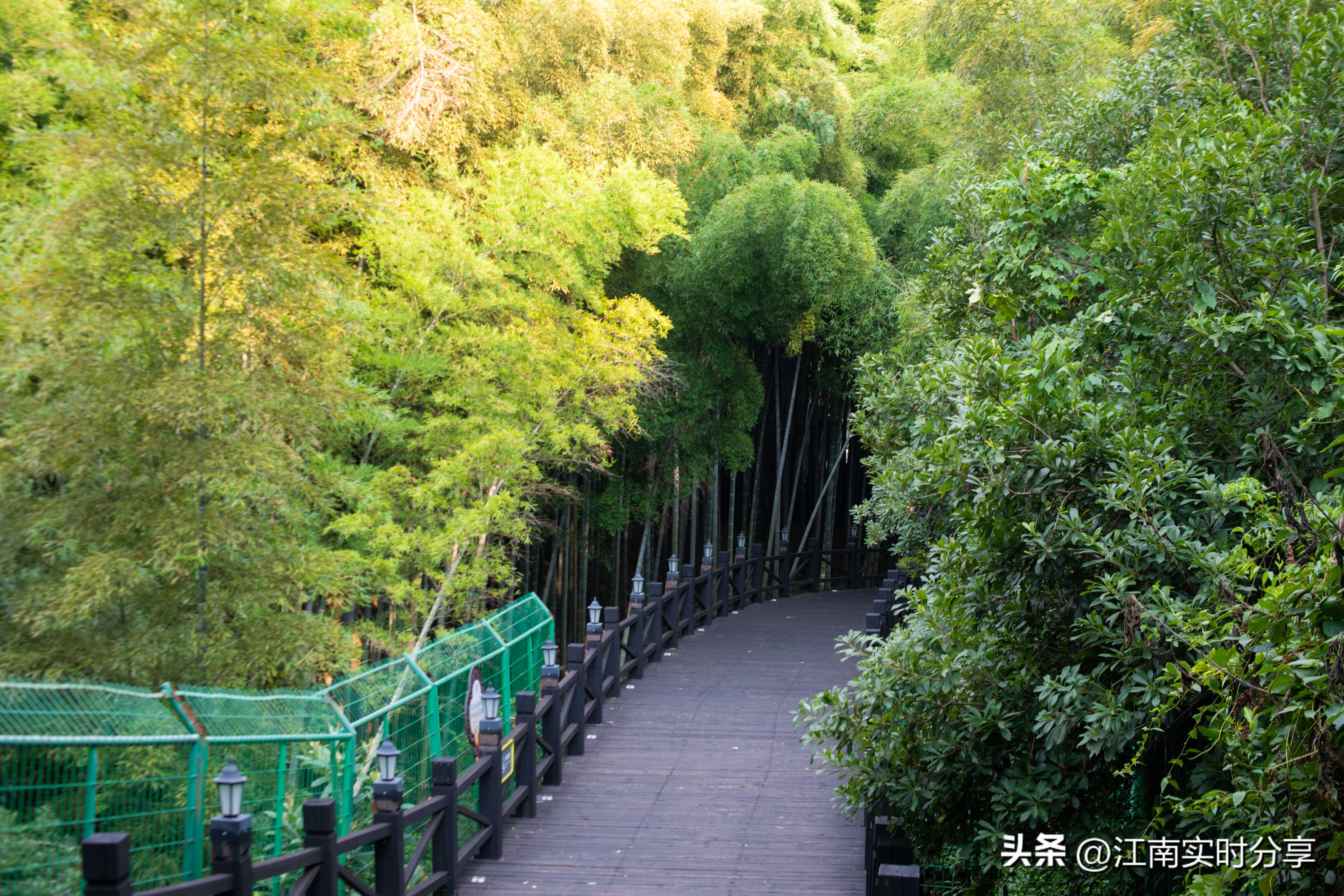 苏州树山花间堂云泉,苏州树山花间堂云泉可以带猫咪吗