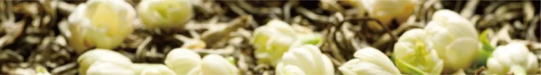 茶叶品牌slogan怎么写,茶叶品牌slogan