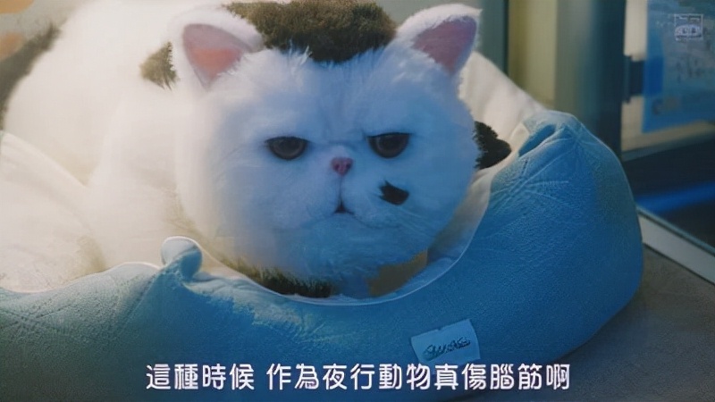 日本最大的动漫评分网站,日本最大的十大网站