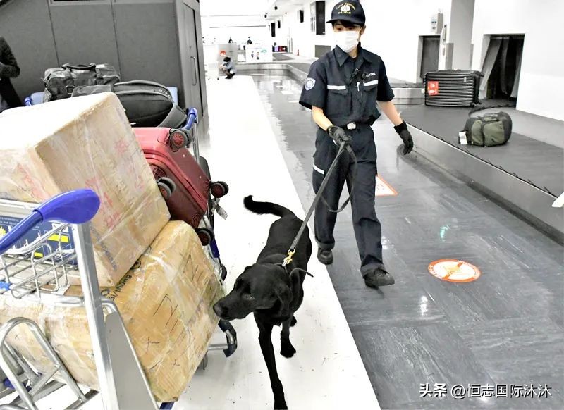 从日本回国人员入境最新规定,从日本入境中国能带多少免税东西