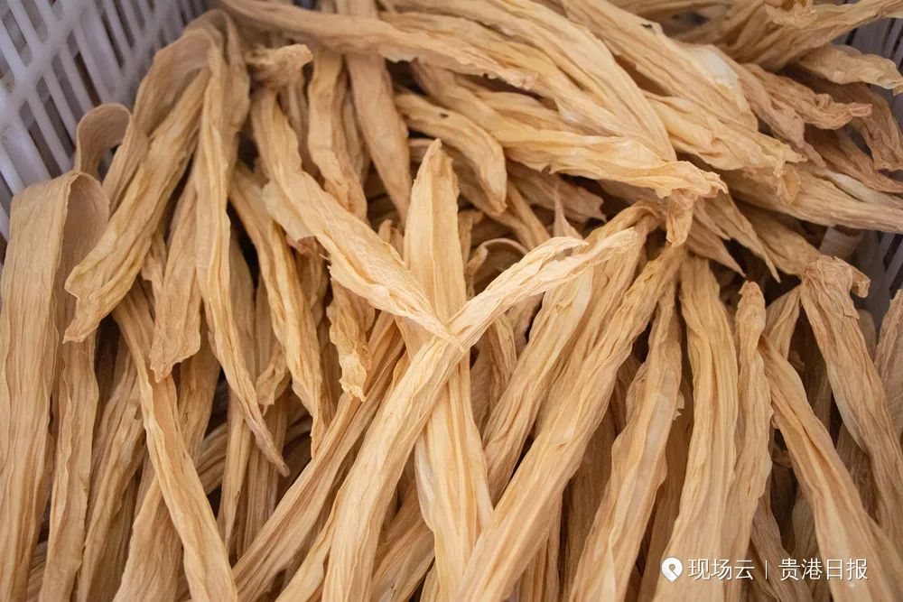 响铃卷腐竹,正宗社坡腐竹视频