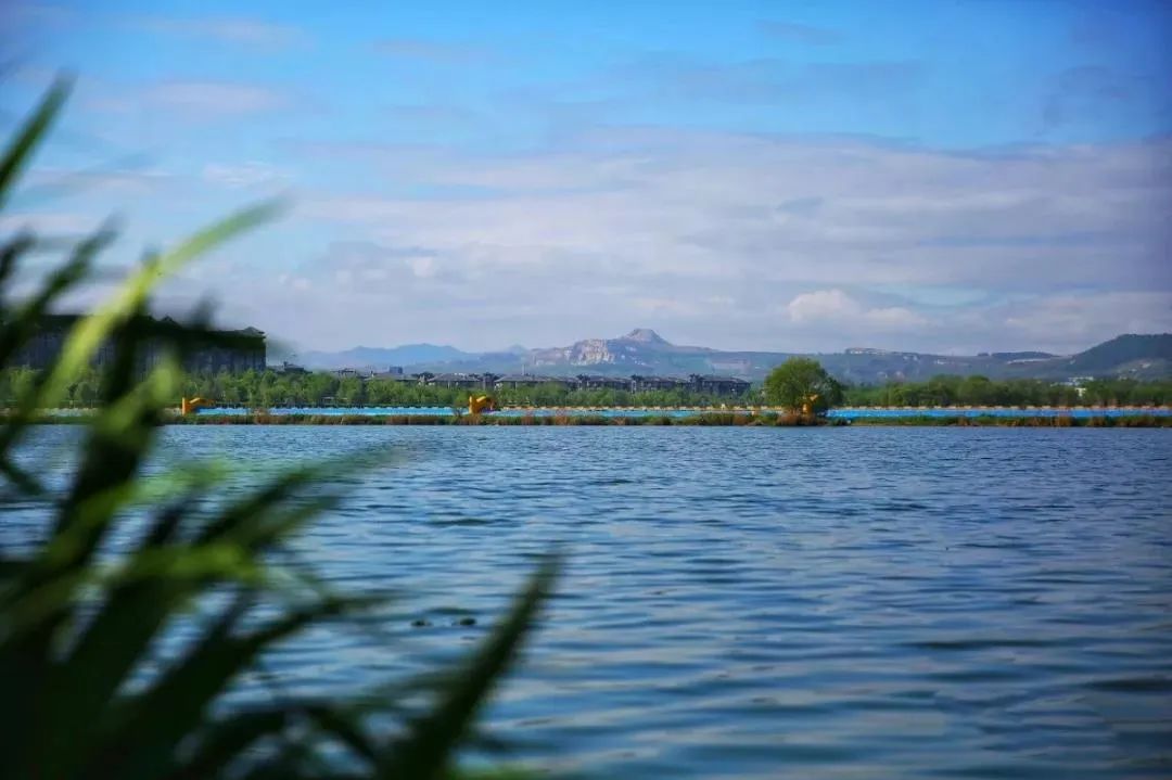 淄博春天赏花,淄博赏花时间表