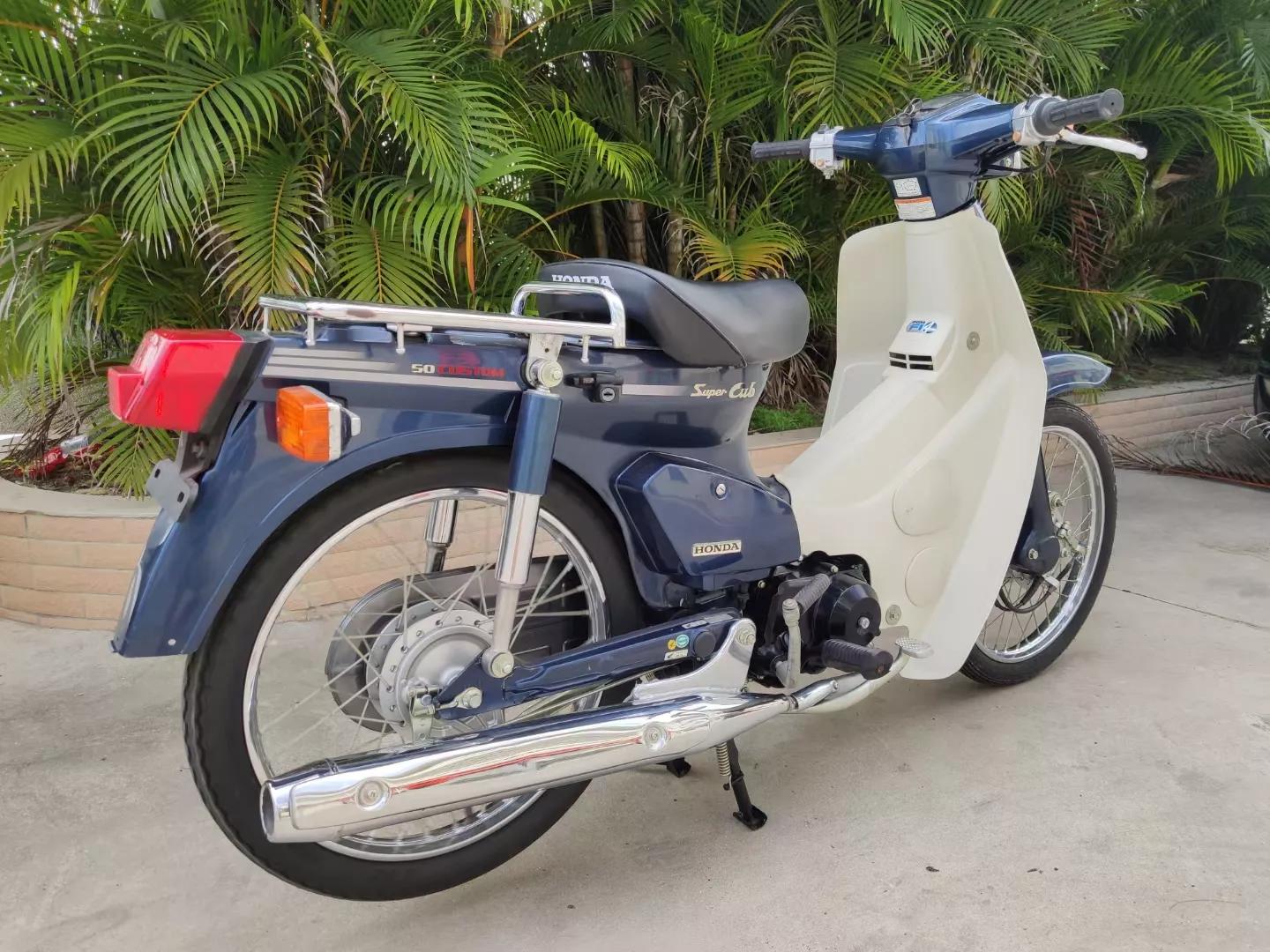 哪些动漫里面有本田幼兽,本田幼兽漫画图片