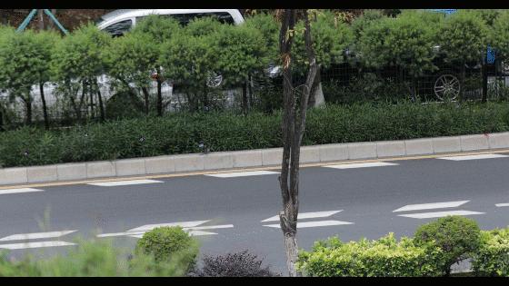 佳鑫畅悦拍鸟专用三脚架推荐,佳鑫悦三脚架怎样组成独脚架