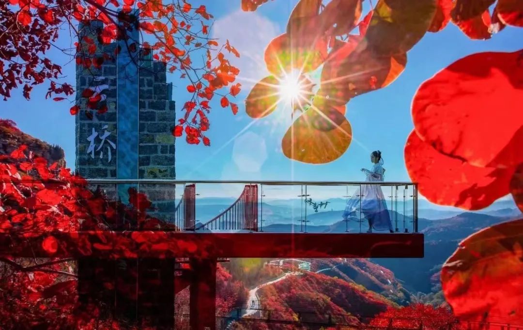 乡村振兴示范村典型案例规划设计,偏远山区乡村振兴示范村典型案例