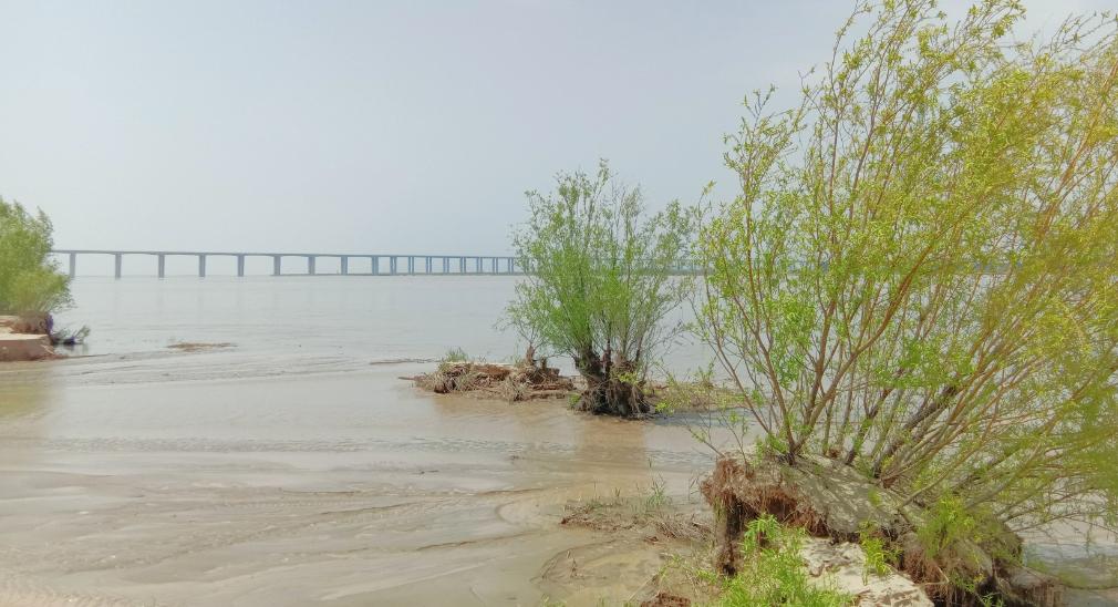 郑州春天去哪里旅游,郑州周边适合春天去的地方