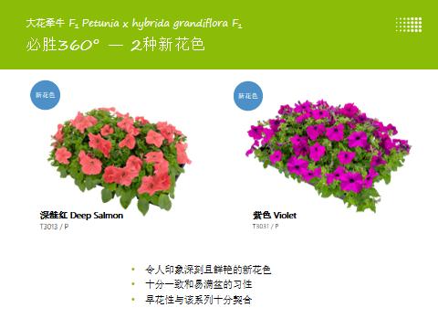 德国疫情带来的变化,德国园艺市场趋势