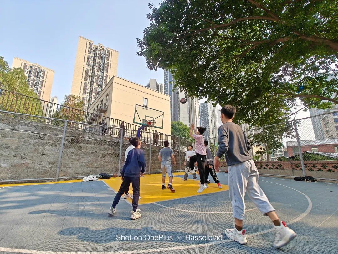 一加11拍照到底怎么样最新评测,一加11拍照远摄表现