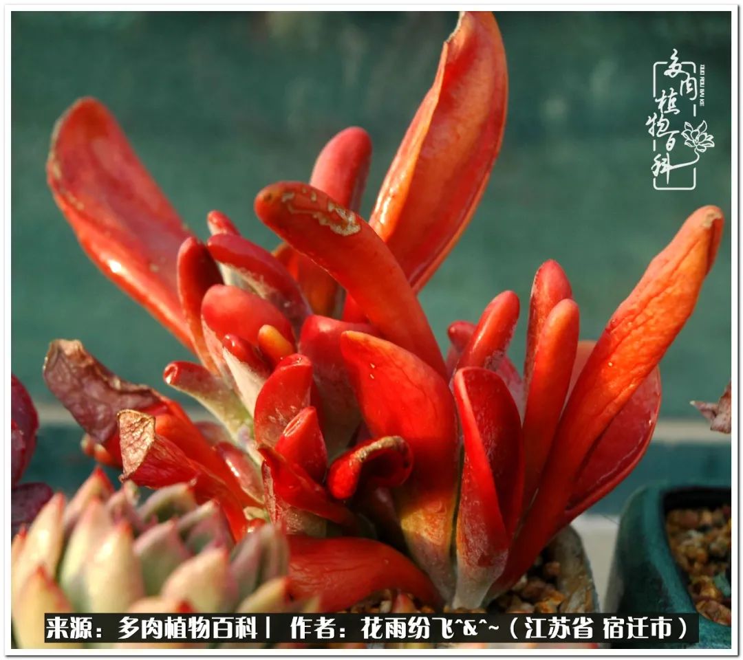 快乐的童年时光视频,回味快乐的童年美好的时光