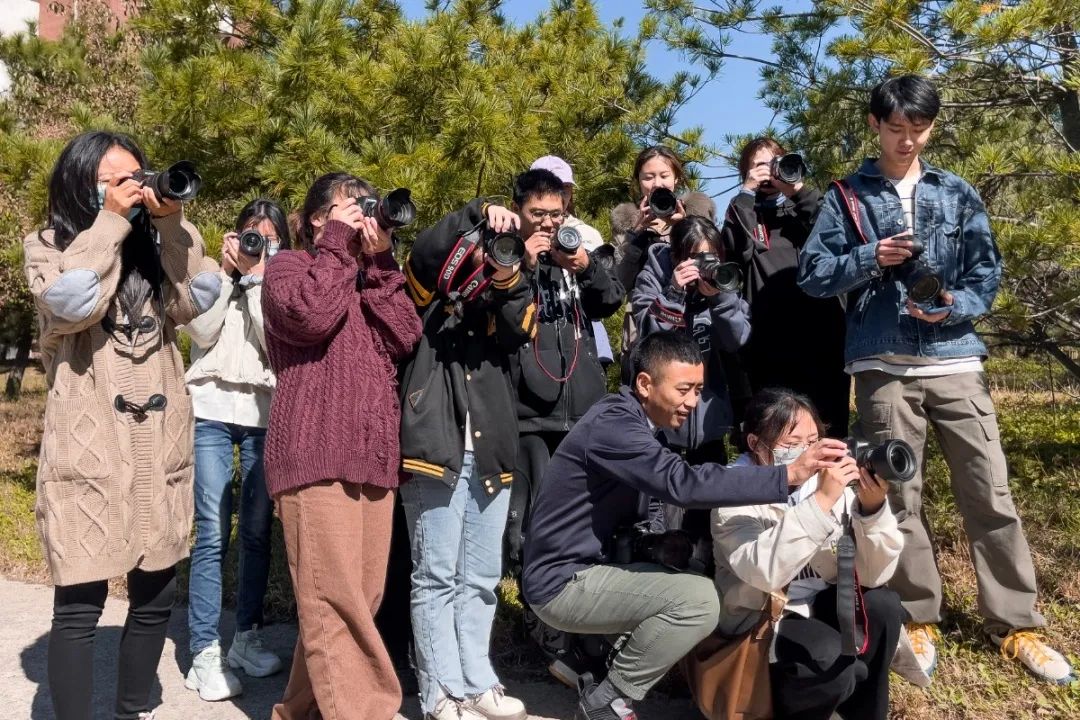 实训课中学到了什么,实训课视频总结