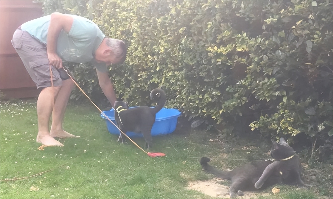 我家猫尿进了洗衣篓里，我爸为了包庇猫说，是他尿的···