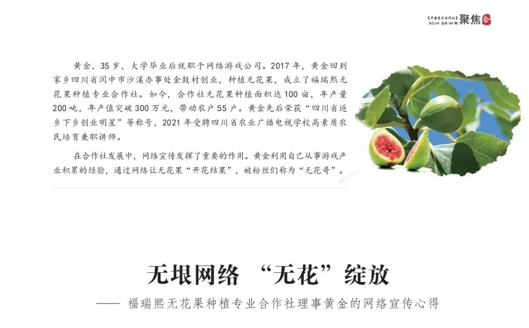 无垠网络“无花”绽放——福瑞熙无花果种植专业合作社理事黄金的网络宣传心得