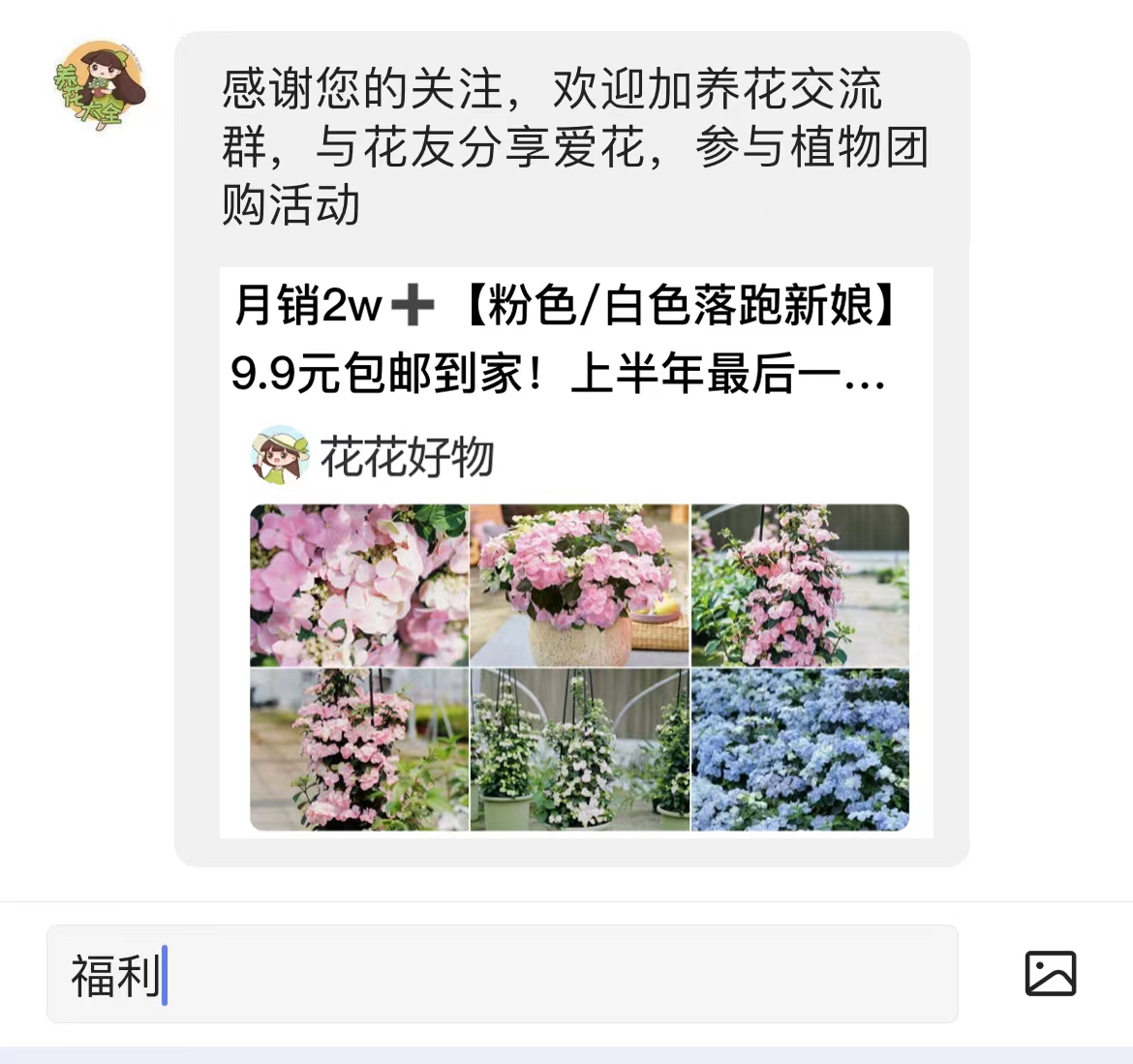 蝴蝶兰的养殖方法及注意事项,蝴蝶兰的养殖方法注意事项