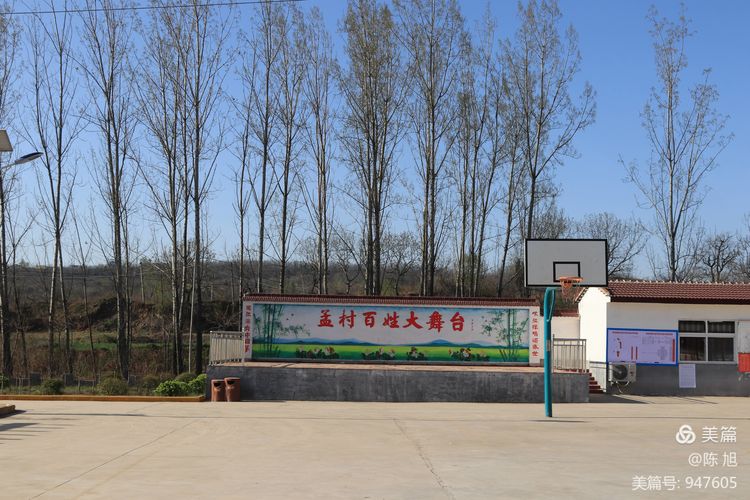 渑池孟村：油菜花儿香，蜜蜂采蜜忙