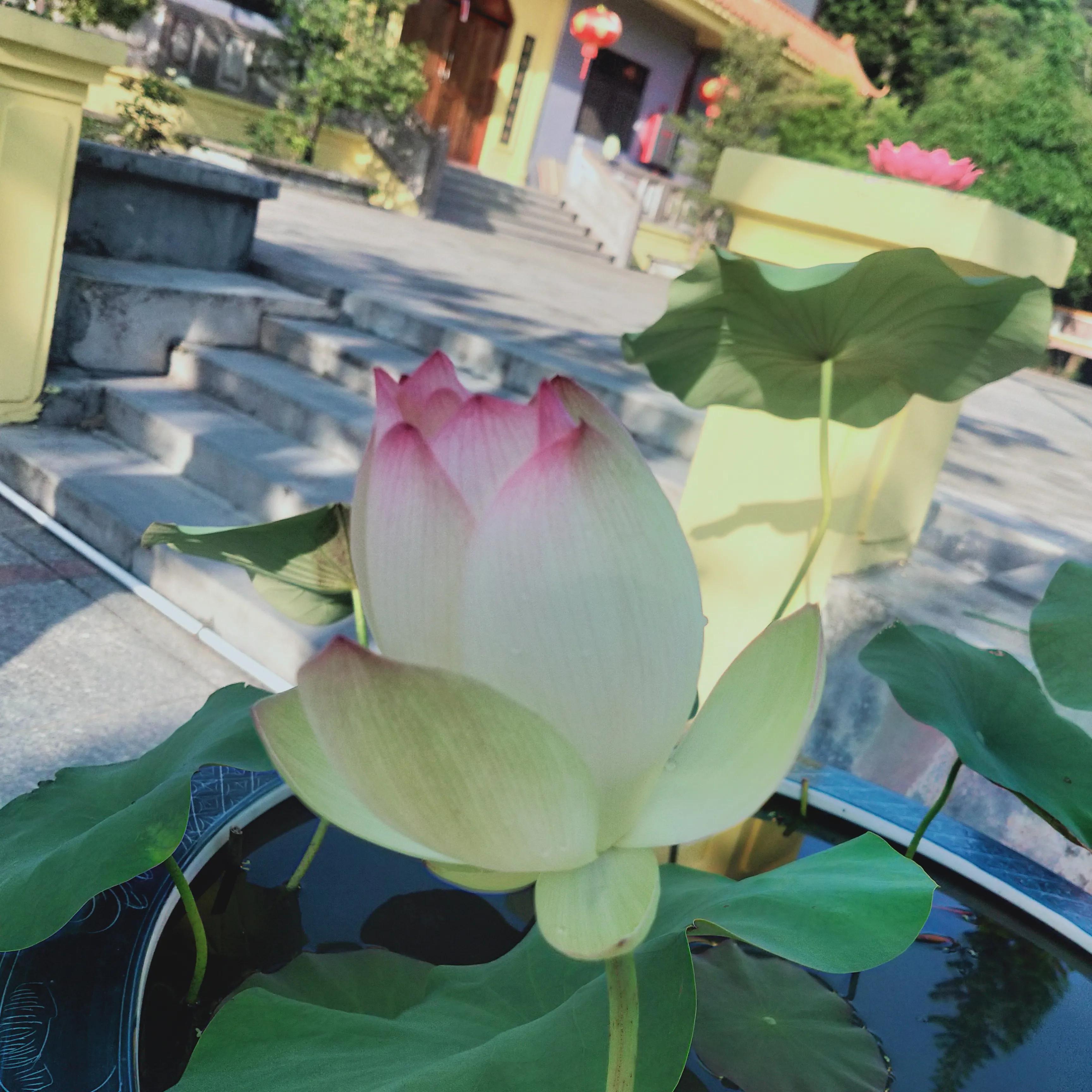 老人的生活简单,老人的生活