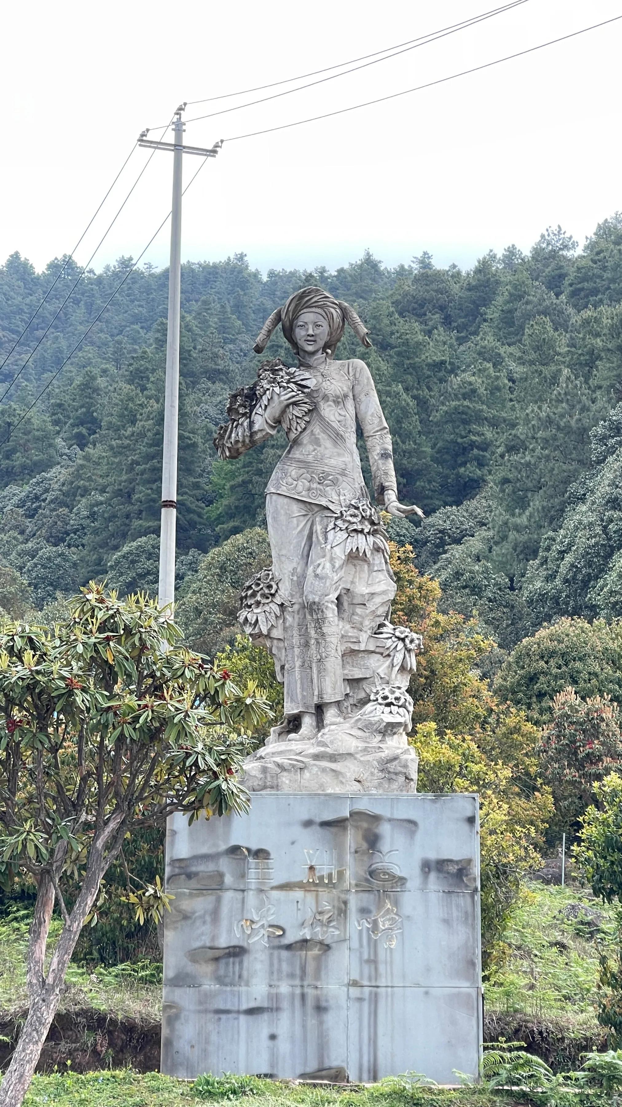 赶赴百草岭迎接夏天