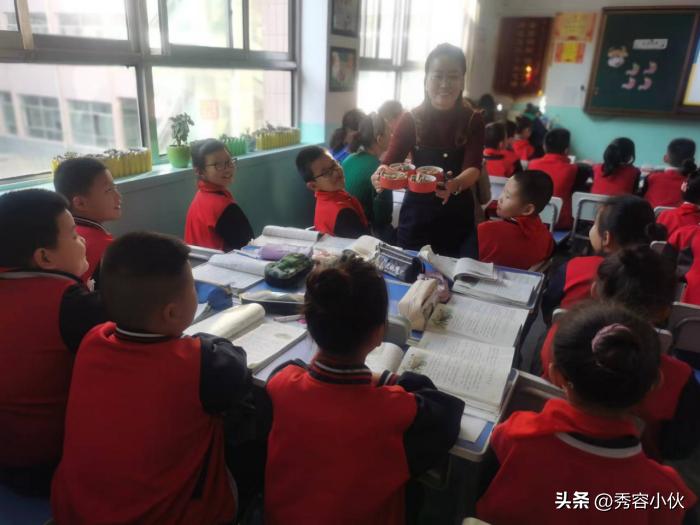 小学开展新课标学习活动,小学学习新课标第一部分活动信息