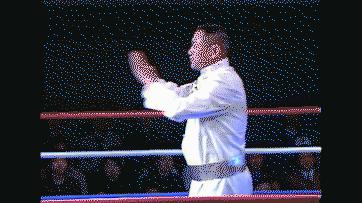 中国四位顶级职业散打王视频,2000中国散打王十大名将