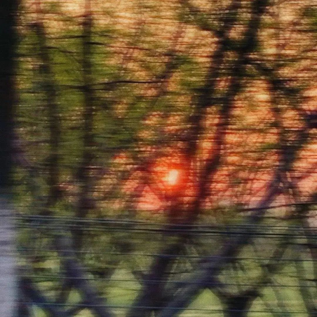 朋友圈背景送给大家,朋友圈背景送你一朵花