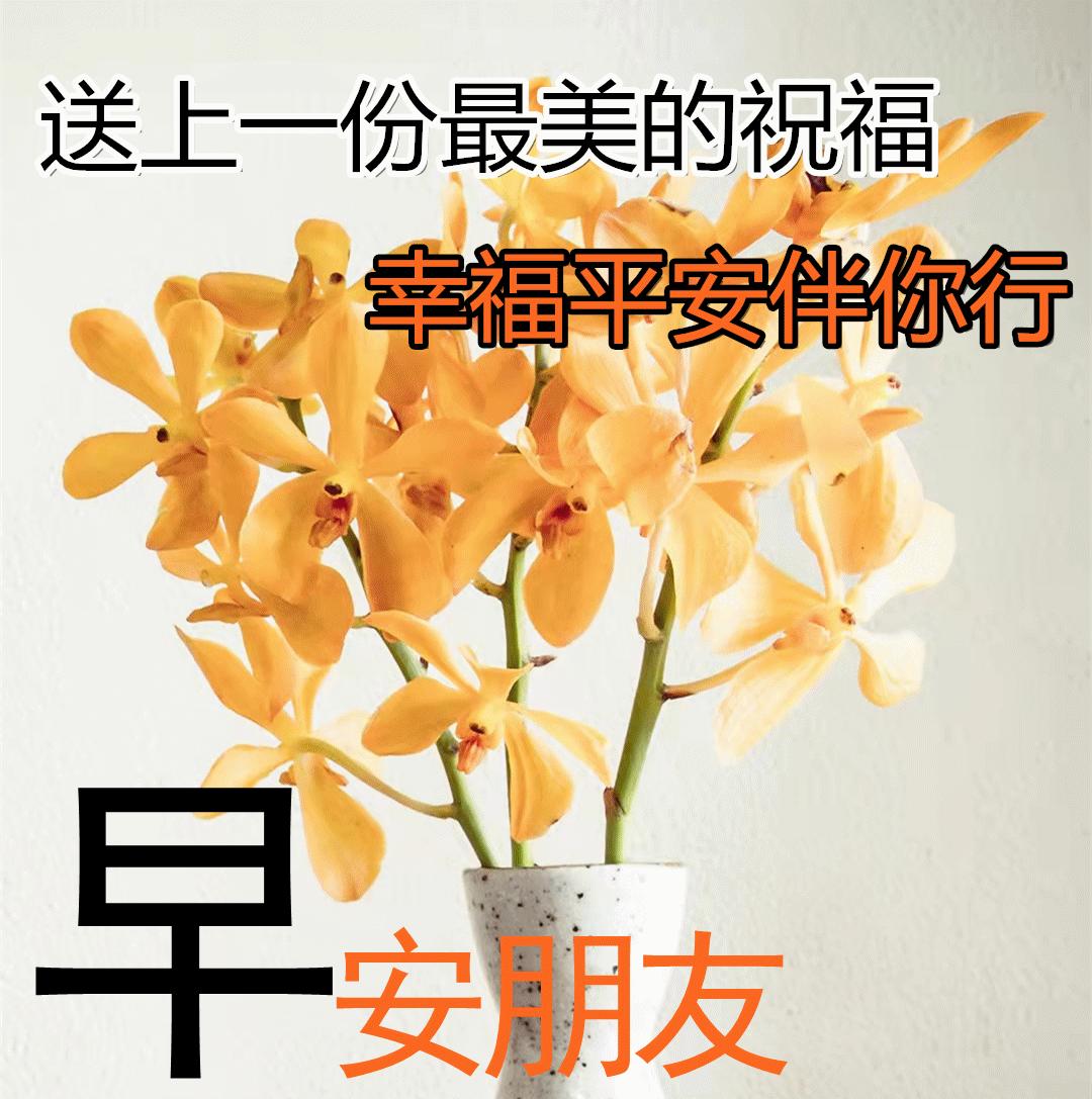 早安的句子跟图片朋友圈正能量,早安正能量的短句子心语图片大全