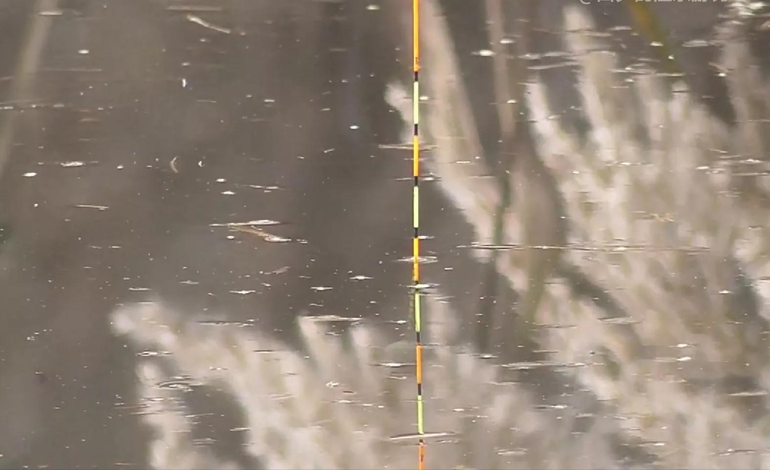 冬季钓鲫鱼一钩躺底一钩触底,钓鲫鱼躺底还是触底