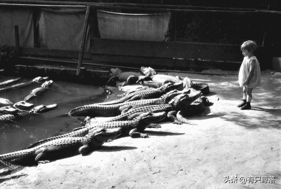 日军日记：*安妇慰**不服从管教，我很愤怒，用*刀刺**插入她的*体下**