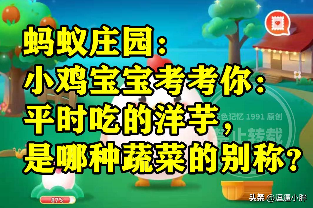 洋芋是哪种蔬菜的别称,平常吃的洋芋是土豆还是芋头