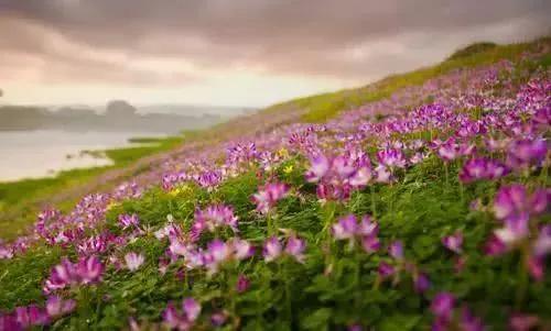 用QQ和微信发消息有什么不一样吗？