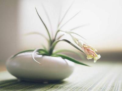 什么是真爱的英文翻译,真爱本质是什么意思