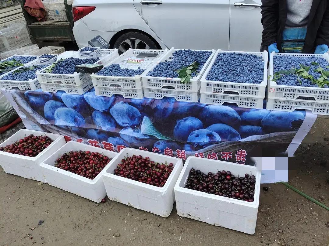 烟台水果物价,烟台地区最新的水果价格