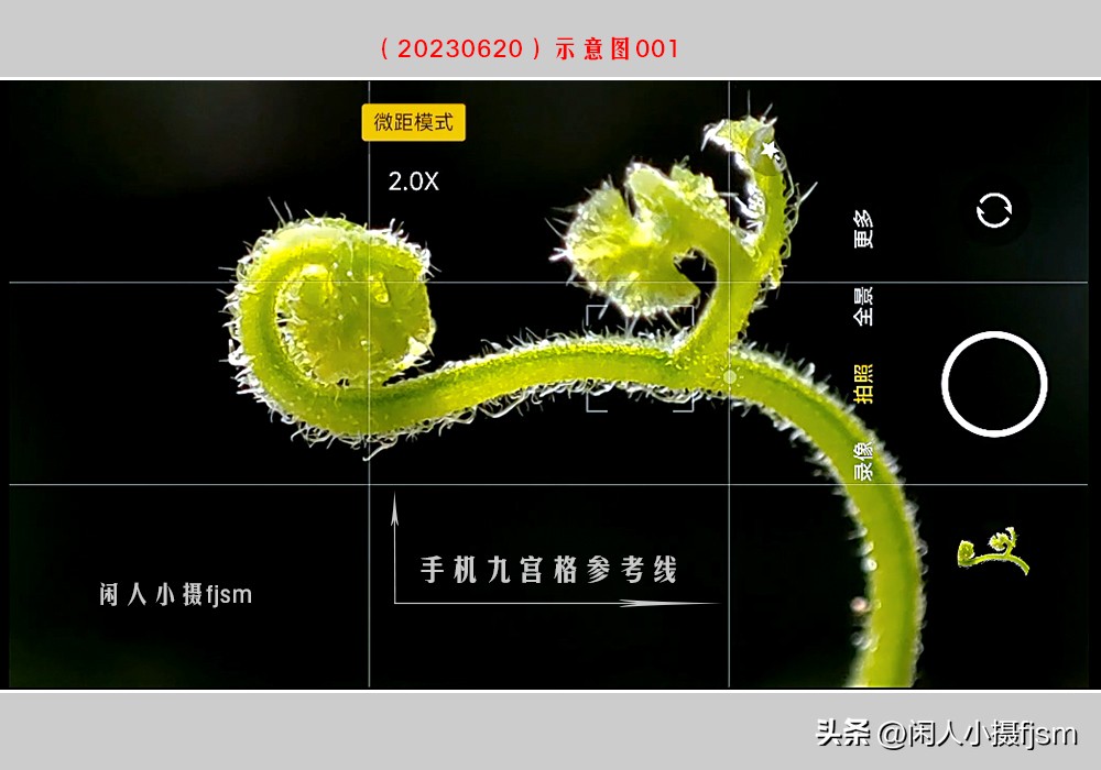 手机摄影构图技巧全解,玩转手机摄影一学就会的构图技巧