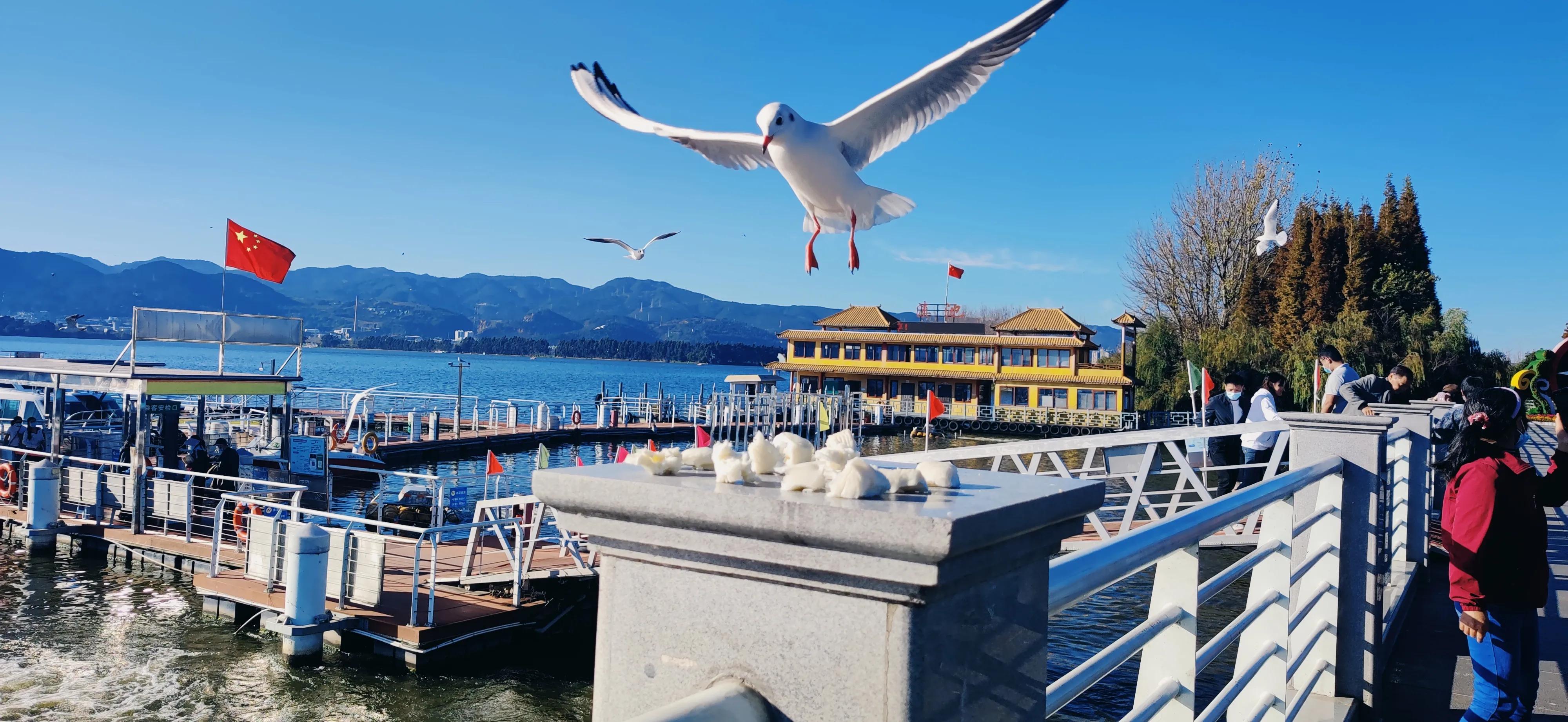 云南旅游攻略天气,云南旅游攻略6天5晚买一送一