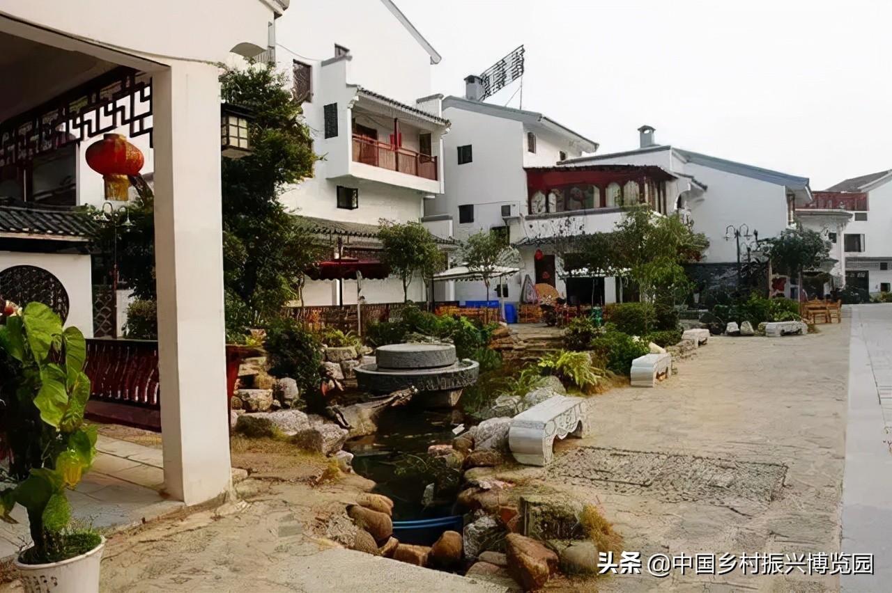 全国高校乡村振兴活动案例,乡村振兴巾帼行动优秀案例