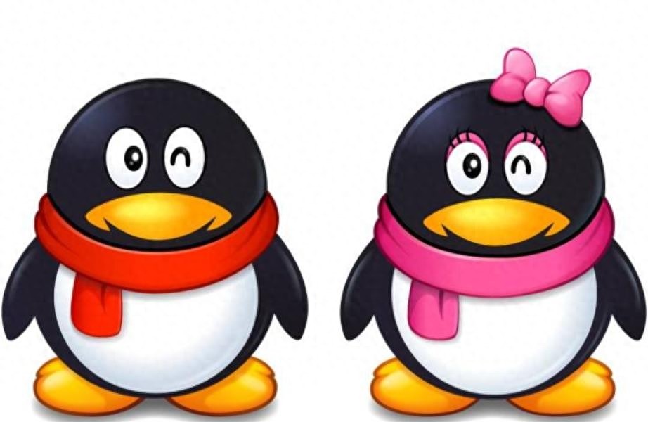 广东30个冷知识,深圳冷知识大全图片