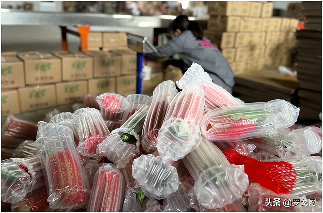 拼多多发展云计算,云时代手机