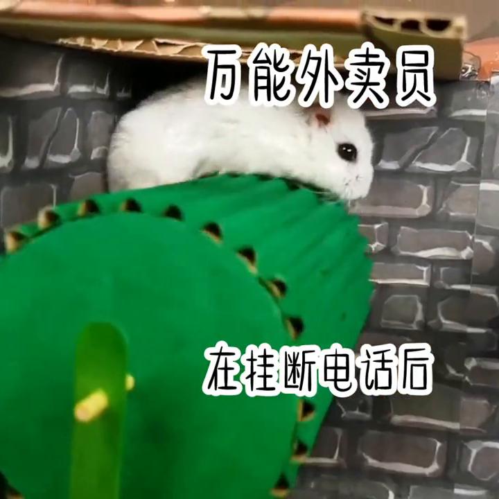 点赞量高书单,关注点赞每日更新小说