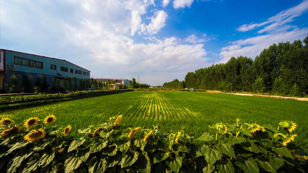 在农村怎样经营好一个家,家庭农场怎么运营需要什么手续